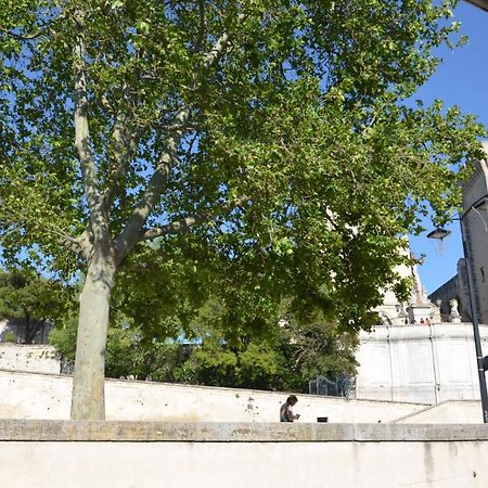 Апартаменты Face Au Palais Des Papes Авиньон Экстерьер фото